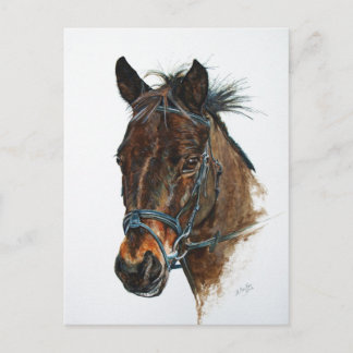 Ik hou van Ponies Briefkaart