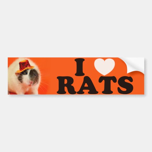 Ik hou van Rats (in pet) Bumpersticker (Voorkant)