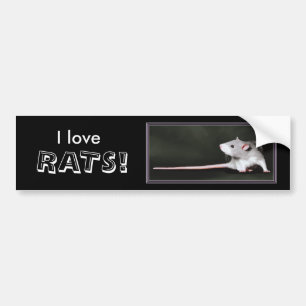 Ik hou van RATTEN! - bumpersticker over ratten