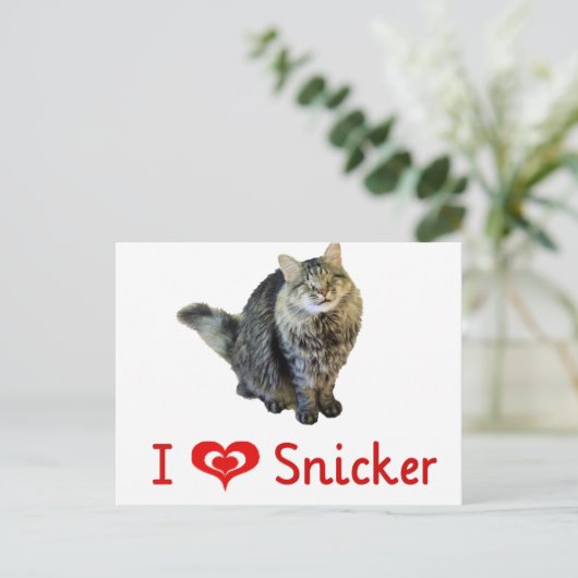 Ik hou van Snicker Briefkaarten (Staand voorkant)