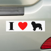 Ik hou van Spaanse waterhonden Bumpersticker (Op auto)