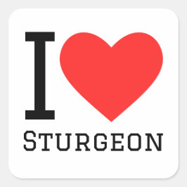 Ik hou van steur vierkante sticker