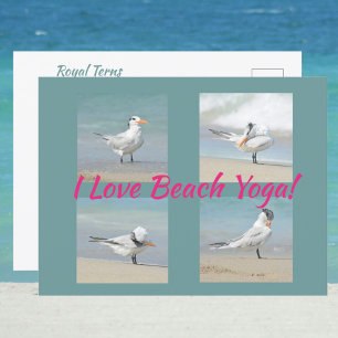 Ik Hou Van Strand Yoga Koninklijke Steltlopers Pos Briefkaart