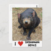 Ik hou van Tasmaanse duivels Briefkaart (Voorkant / Achterkant)
