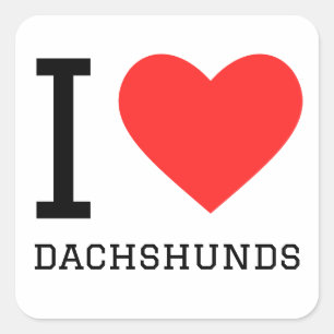 Ik hou van teckels vierkante sticker