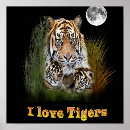 Ik hou van Tigers Poster (Voorkant)