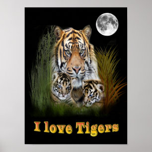 Ik hou van Tigers Poster