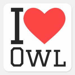 Ik hou van uil vierkante sticker