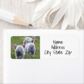 ****IK HOU VAN VARKENS**** ETIKET (Insitu)