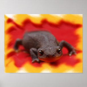 Ik hou van watersalamanders Fijne Kunst Prints