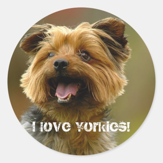 Ik hou van Yorkies! Sticker (Voorkant)