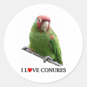 Ik houd ook van conures ronde sticker