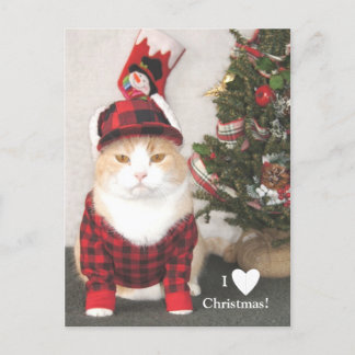 Ik houd van Kerstmis! Feestdagenkaart
