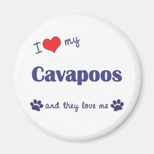 Ik houd van Mijn Cavapoos (Veelvoudige Honden) Magneet