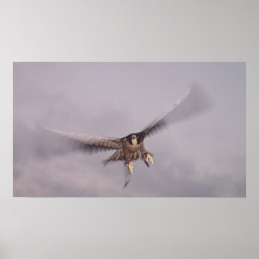 Ik kan de Donder niet stoppen.. Poster (Voorkant)