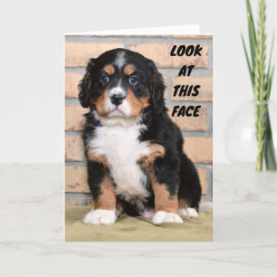 IK KAN HET NIET PERSOONLIJK ZEGGEN ZO TRIEST KERST KAART