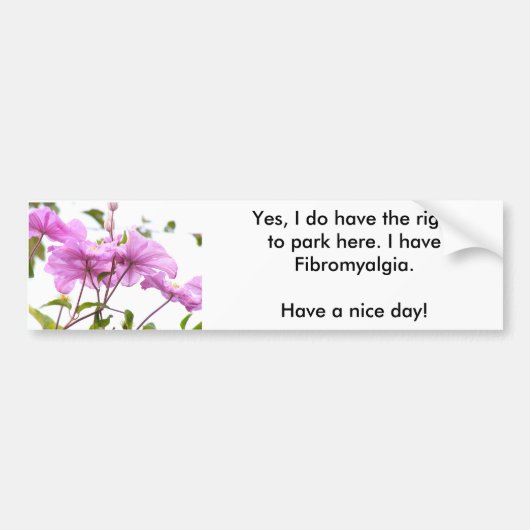 IK KAN hier parkeren met de bumpersticker (Voorkant)