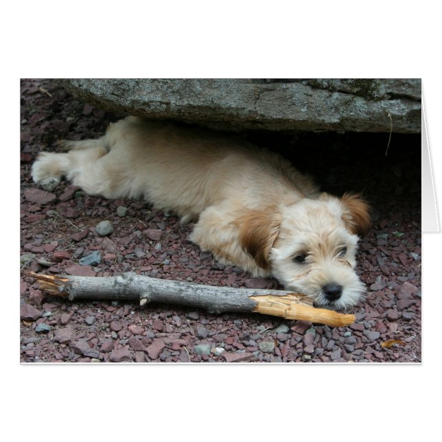 Ik kan je helpen met je kaart (Voorkant Horizontaal)