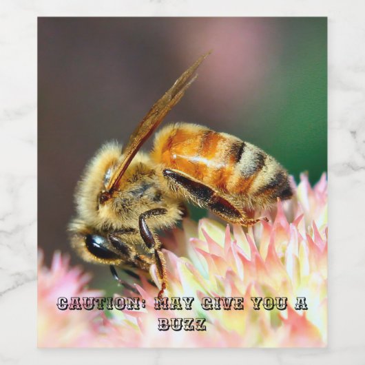 IK KAN JE WAT LATEN HOREN WIJN ETIKET (Enkel label)