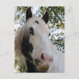 Ik kan je zien briefkaart