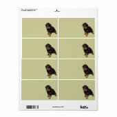 Ik kan je zien etiket (Full Sheet)