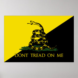 Ik kan niet lezen op mijn anarchistische vlag poster