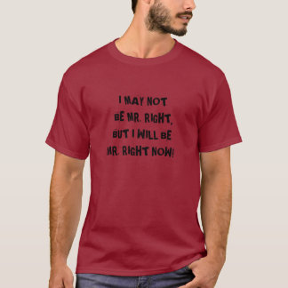 IK KAN NIET MIJNHEER ZIJN. MAAR IK ZAL MIJNHEER ZI T-SHIRT