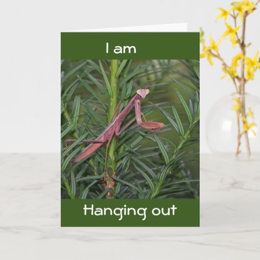 IK KAN ZEGGEN DAT IK VERGETEN OP DE BIRTHDAY. KAART (Gele Bloem)