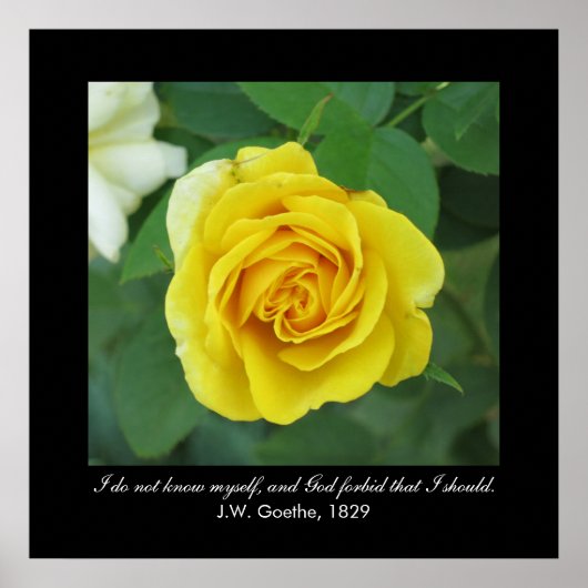 Ik ken mezelf niet. . . (Goethe) Poster (Voorkant)