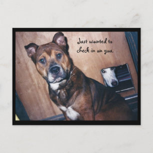 Ik kijk gewoon naar jou. briefkaart