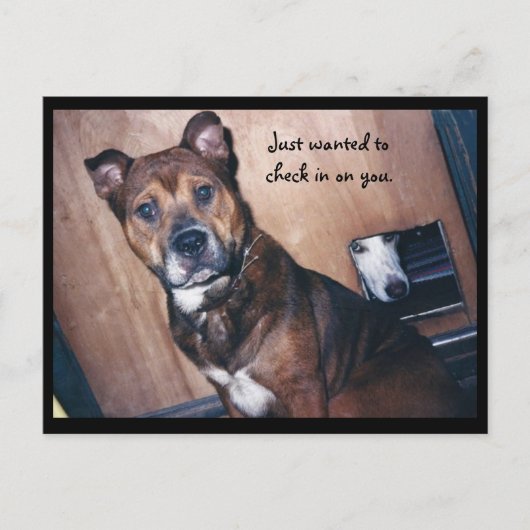 Ik kijk gewoon naar jou. briefkaart (Voorkant)