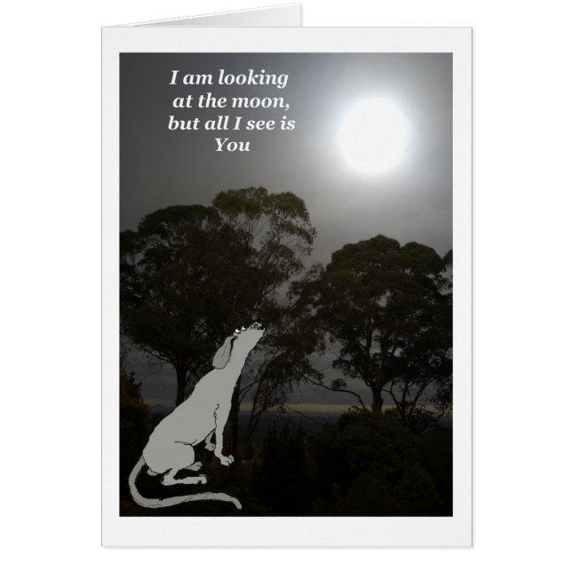 Ik kijk naar de maan (Voorkant)