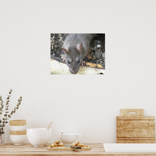 Ik kijk naar je afdrukken poster (Keuken)