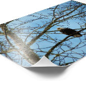 Ik kijk naar je foto afdruk (Hoek)