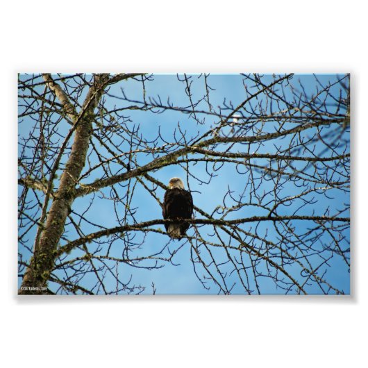 Ik kijk naar je foto afdruk (Voorkant)