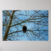 Ik kijk naar je poster (Voorkant)