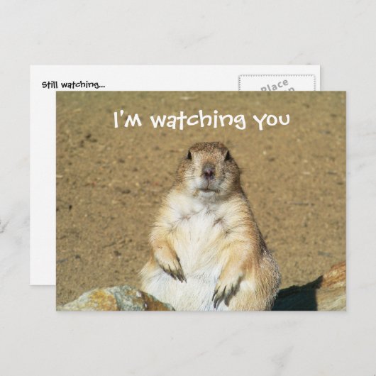 "Ik kijk naar je" Prairie Dog Briefkaart (Voorkant / Achterkant)