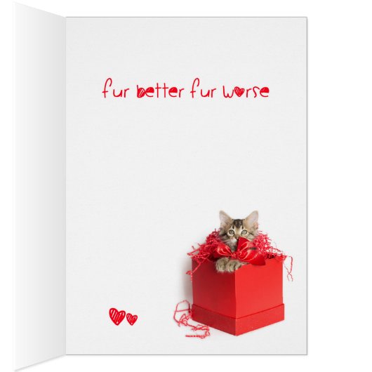 Ik knead jou Kitten (Binnen (Rechts))