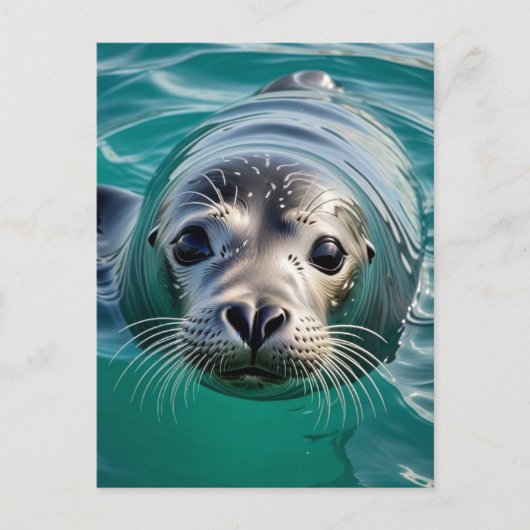 Ik kom alleen even bij je kijken | Contact houden Briefkaart (Voorkant)