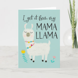 Ik kreeg het van mijn Mama Lama Moederdag Feestdagen Kaart