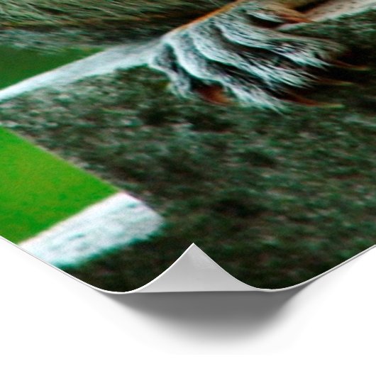 "Ik kruis mijn hart" Poster (Hoek)