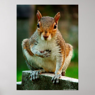 "Ik kruis mijn hart" Poster