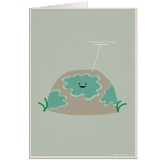 Ik lichen je een hoop