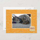 Ik luister briefkaart (Voorkant / Achterkant)