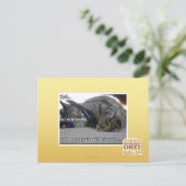 Ik luister briefkaart (Staand voorkant)