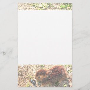 IK LUV BUNNIES! Cute Briefpapier