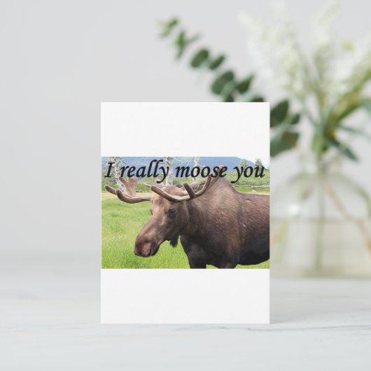 Ik maak je echt druk: Alaskan moose Briefkaart (Staand voorkant)