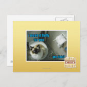 Ik maakte het donzig voor je briefkaart (Voorkant / Achterkant)