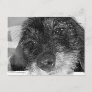 Ik mis je briefkaart