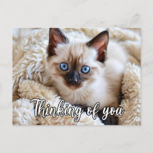 Ik Mis Je - Cute Siamese Kat Briefkaart